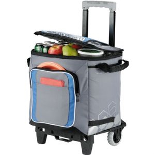 Arctic Zone®  50 Can Cooler